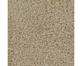 Mohawk Effortless Choice Carpet