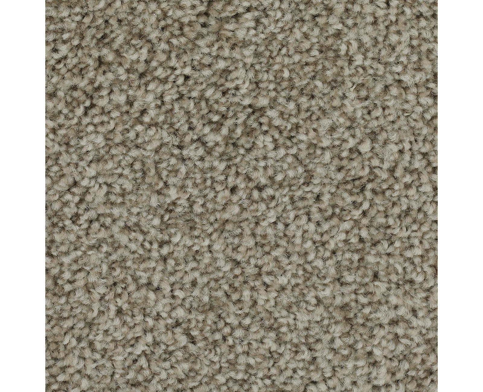 Mohawk Effortless Choice in Stellar, Carpet product detail