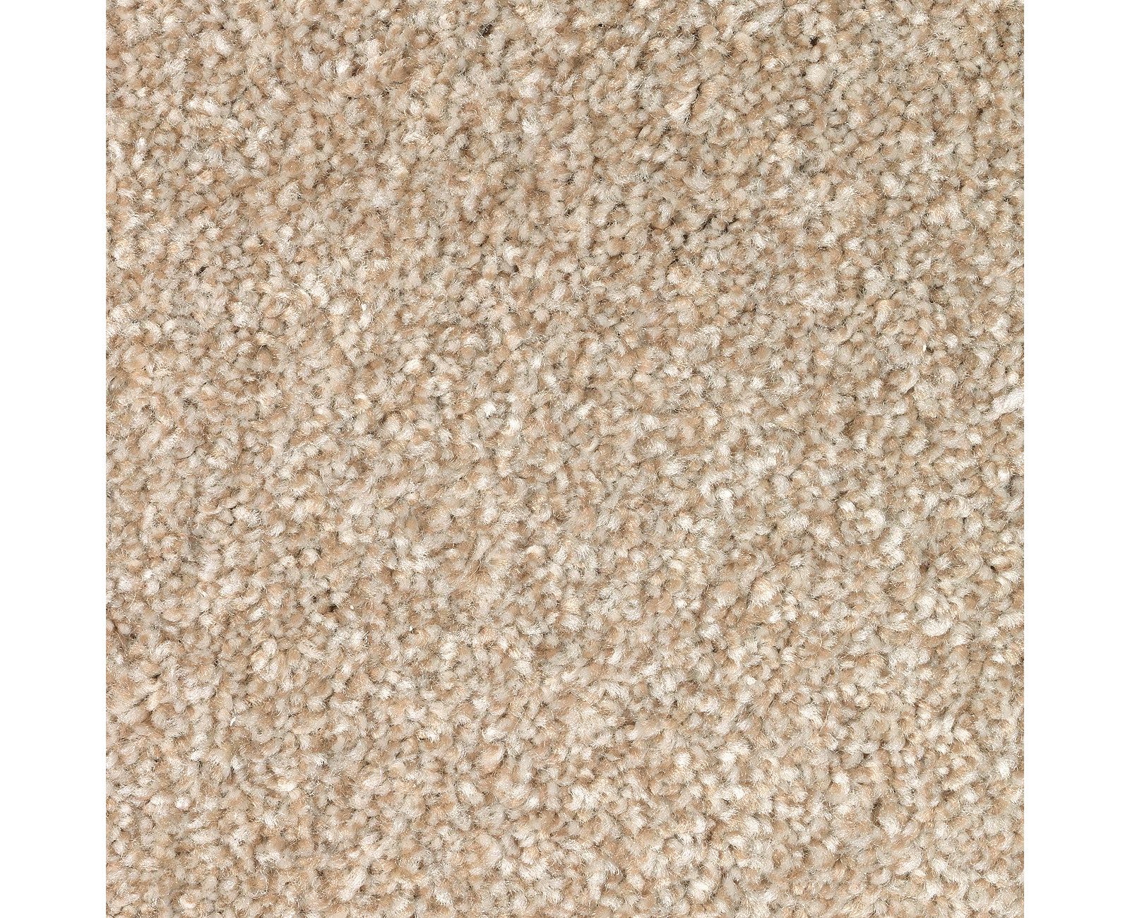 Mohawk True Harmony in Harmony, Carpet product detail