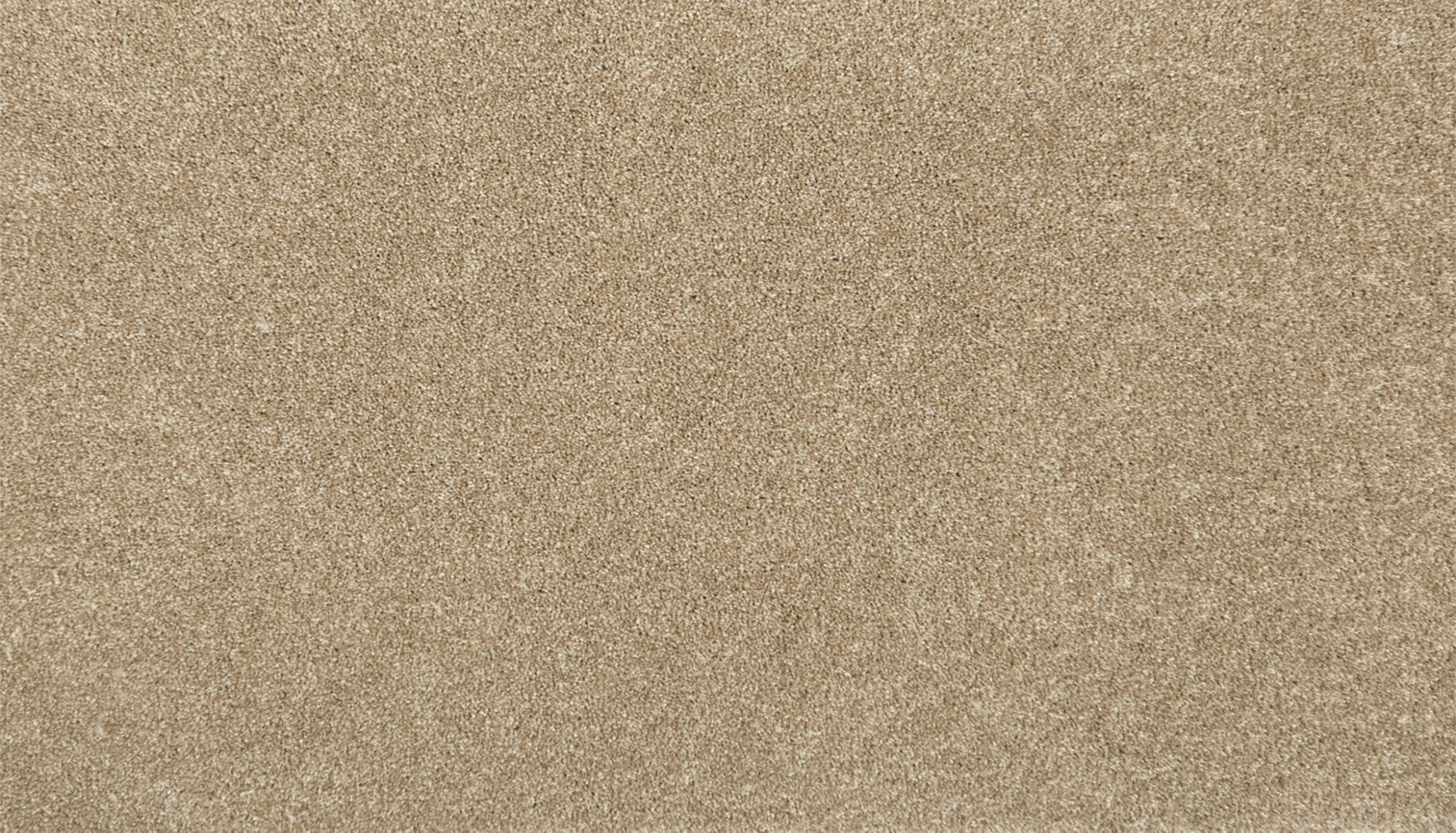 Mohawk True Harmony in Shadywood, Carpet product detail
