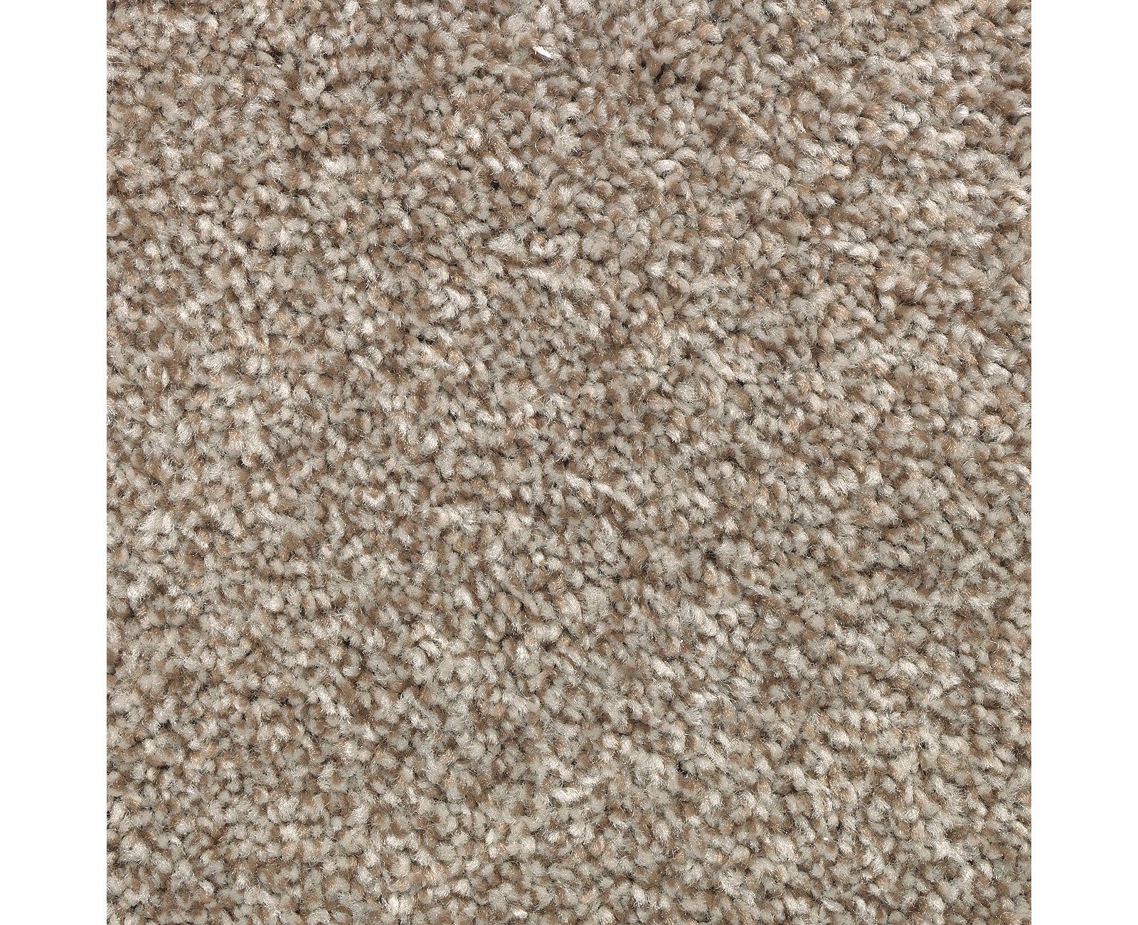 Mohawk True Harmony in Dakota, Carpet product detail