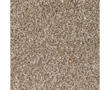 Mohawk True Harmony Carpet