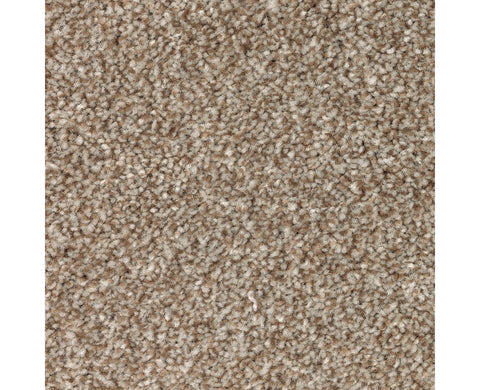 Mohawk True Harmony Carpet