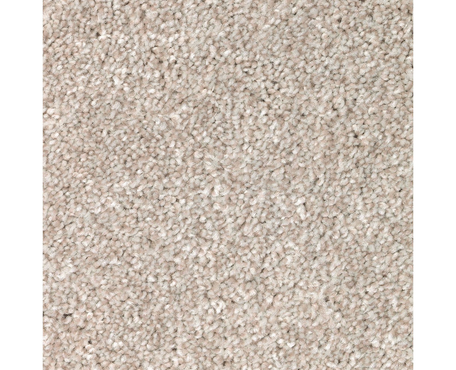 Mohawk True Harmony in Turnstone, Carpet product detail