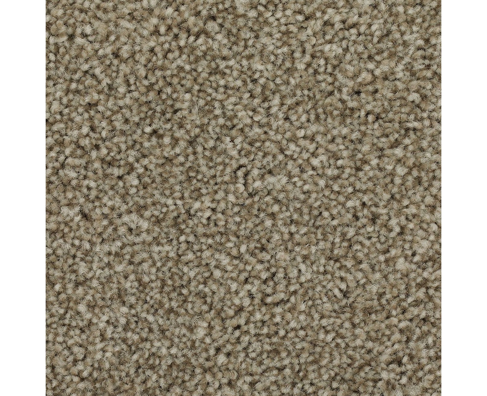 Mohawk Effortless Choice in Warm Fog, Carpet product detail