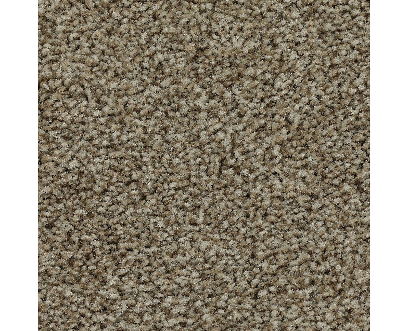Mohawk True Harmony in Yorktown, Carpet product detail