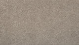 Mohawk True Harmony Carpet
