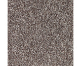 Mohawk True Harmony Carpet