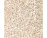 Mohawk True Unity Carpet