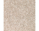 Mohawk Polished Shades I Carpet