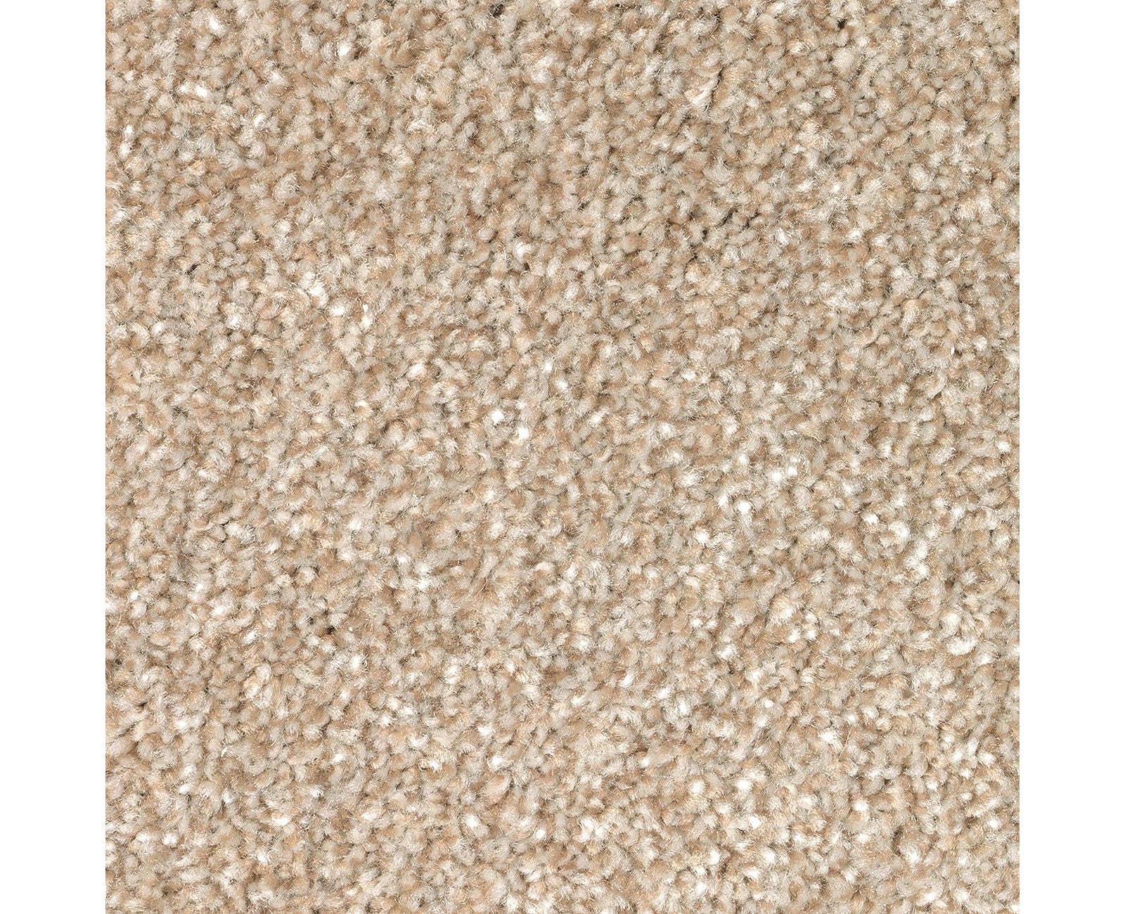 Mohawk True Unity in Harmony, Carpet product detail