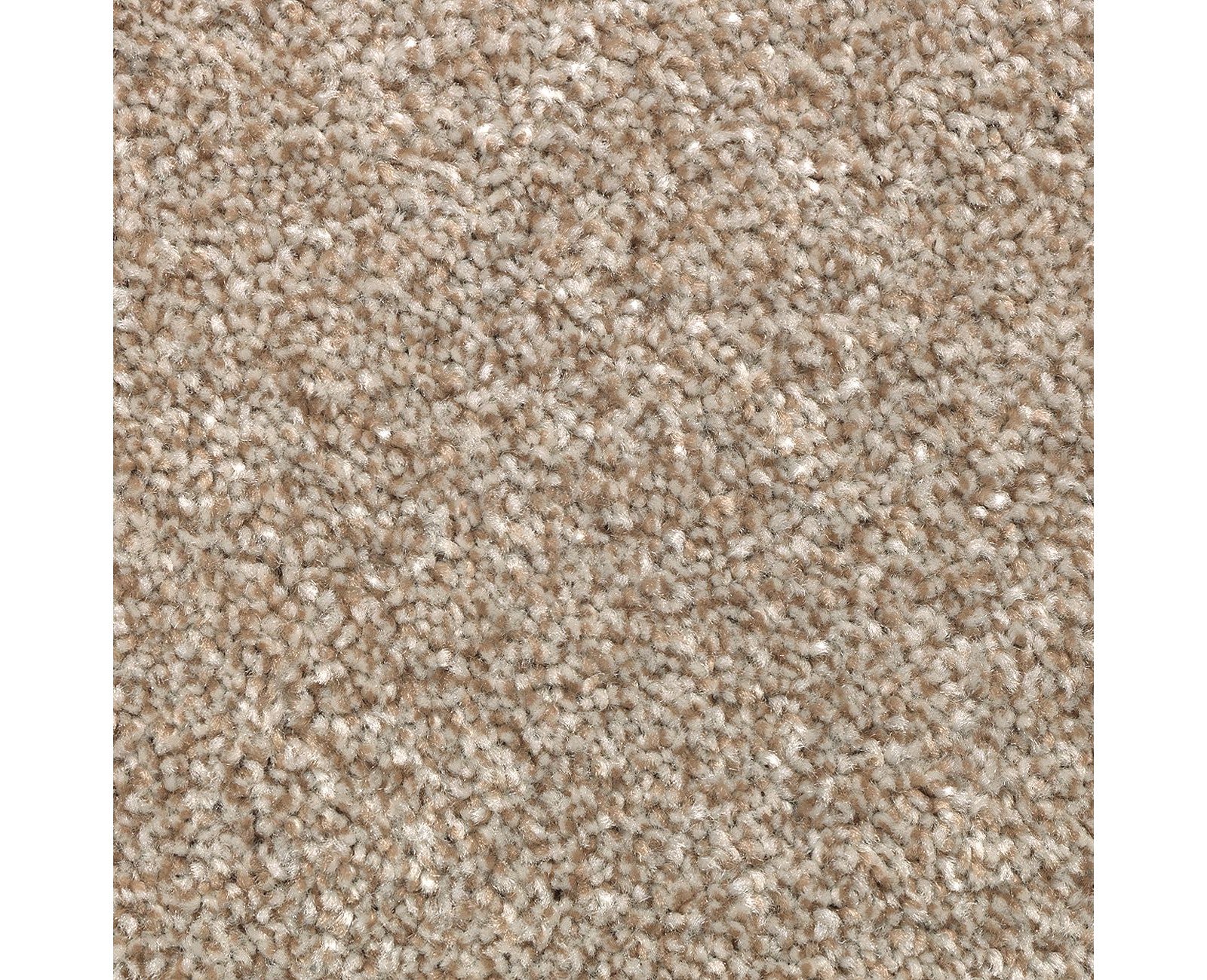 Mohawk True Unity in Shadywood, Carpet product detail