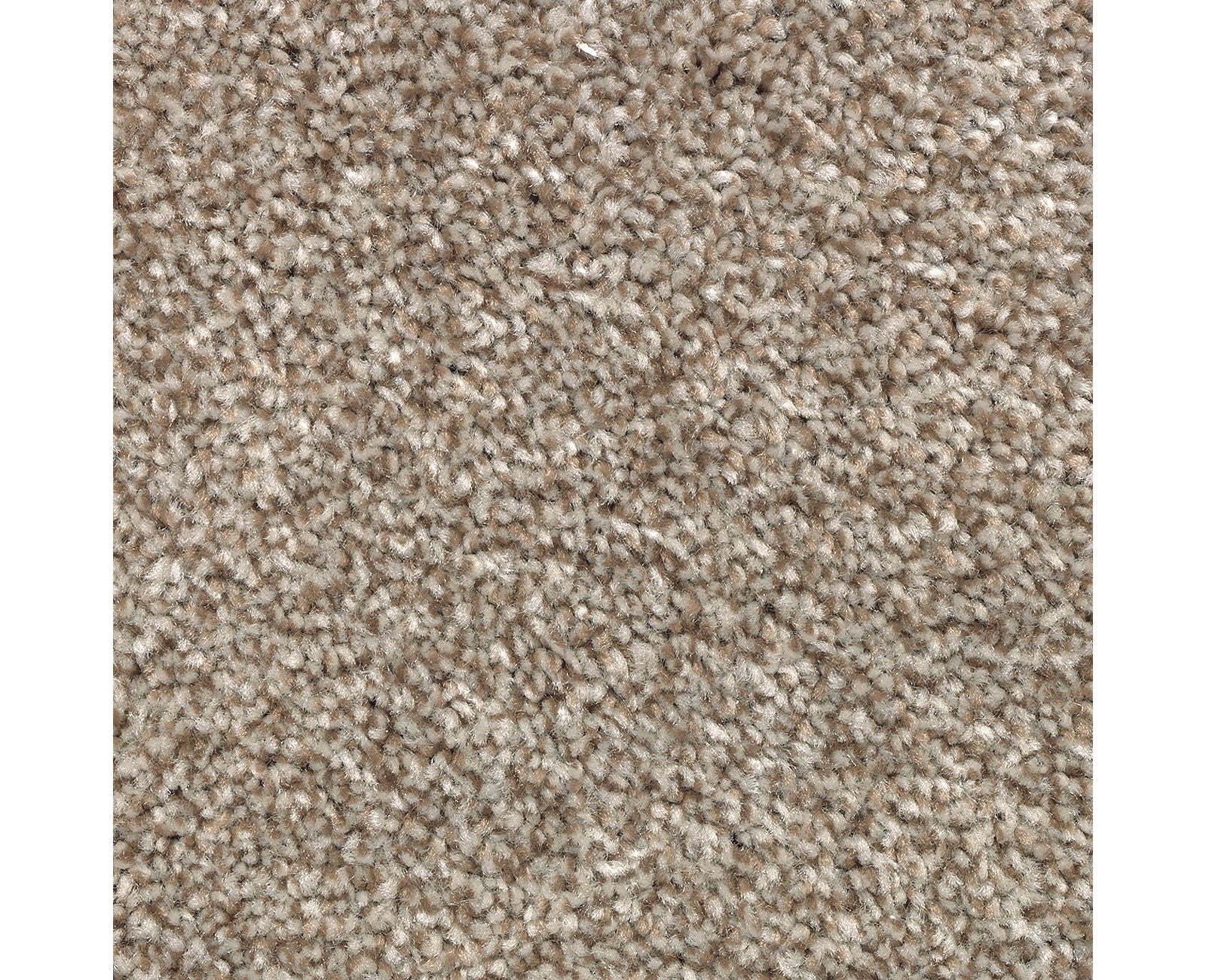 Mohawk True Unity in Dakota, Carpet product detail