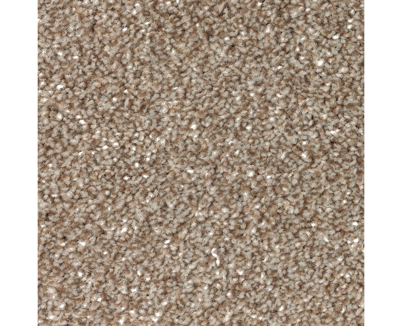 Mohawk True Unity in Americana, Carpet product detail