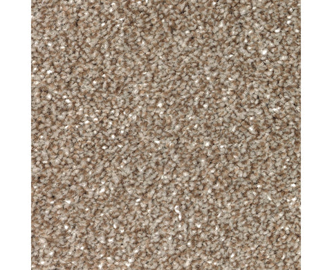 Mohawk True Unity Carpet
