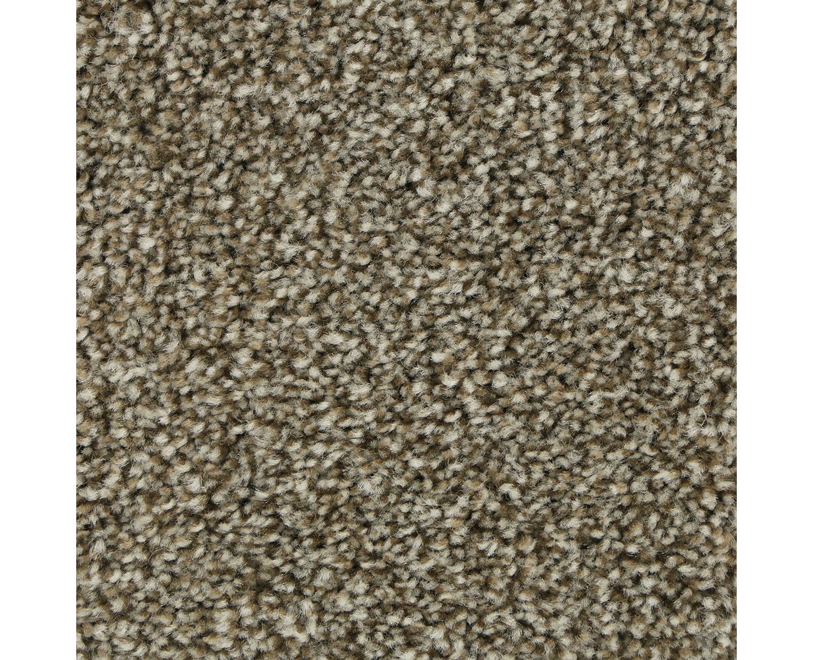 Mohawk Polished Shades I in Spanish Galley, Carpet product detail