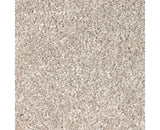 Mohawk Polished Shades I Carpet