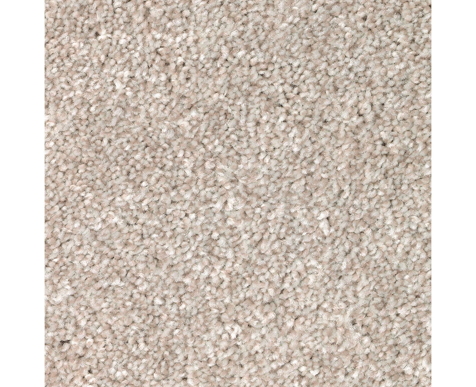 Mohawk Polished Shades I in Cypress, Carpet product detail