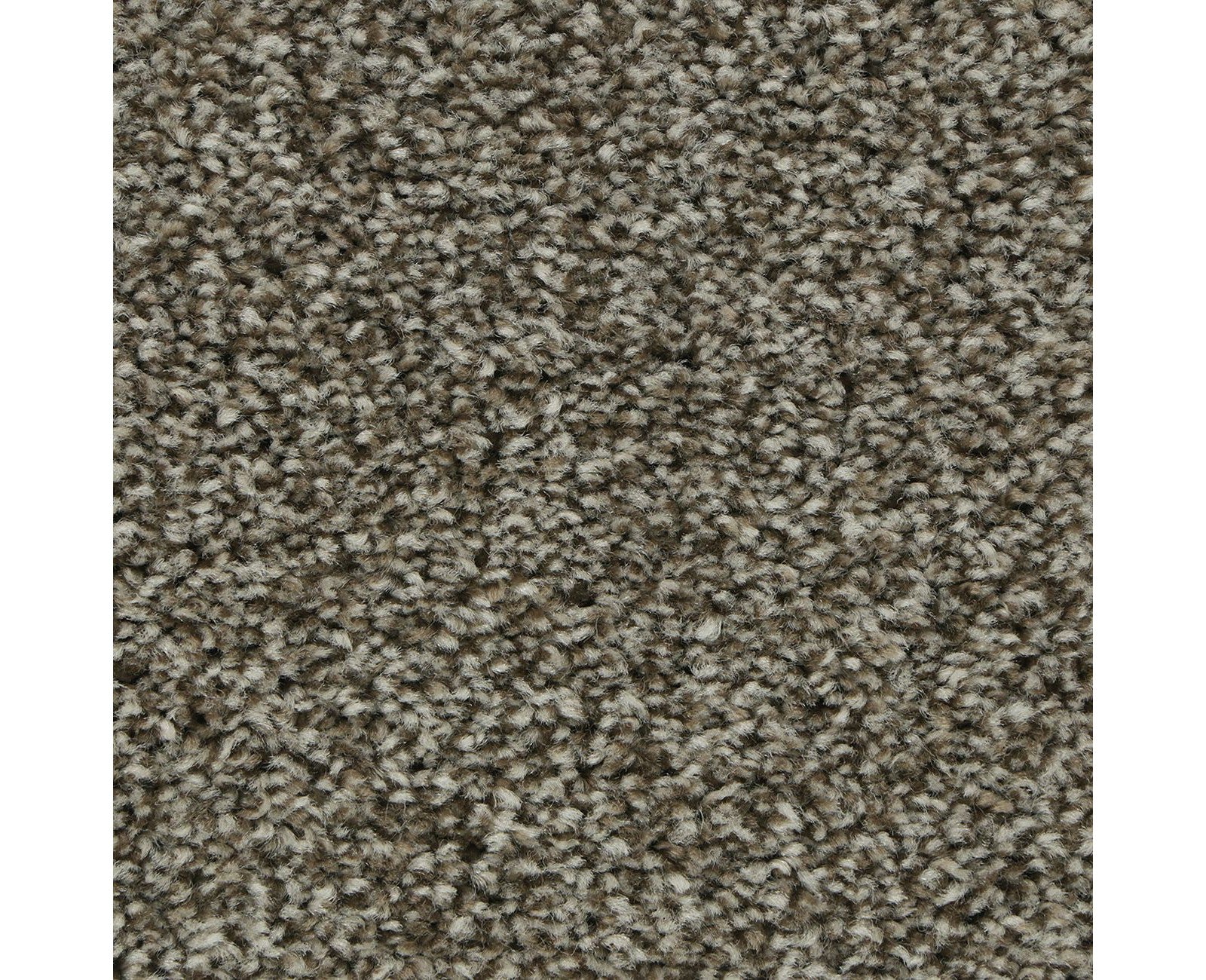 Mohawk Polished Shades I in Native Soul, Carpet product detail