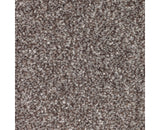 Mohawk True Unity Carpet
