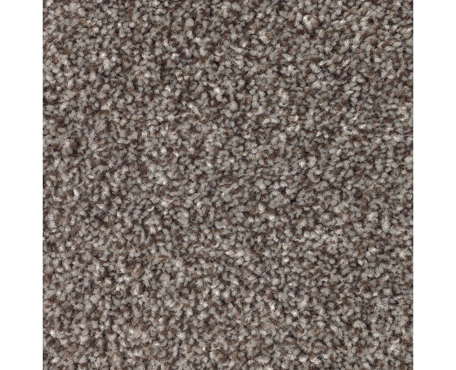 Mohawk True Unity in Druid, Carpet product detail