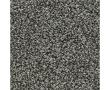 Mohawk Polished Shades I Carpet