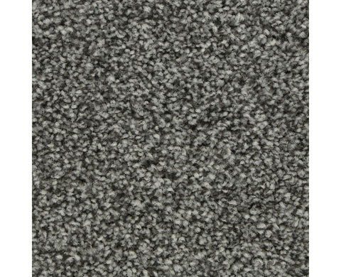 Mohawk Polished Shades I Carpet