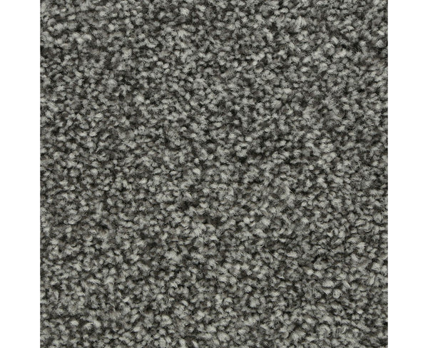 Mohawk Polished Shades I Carpet