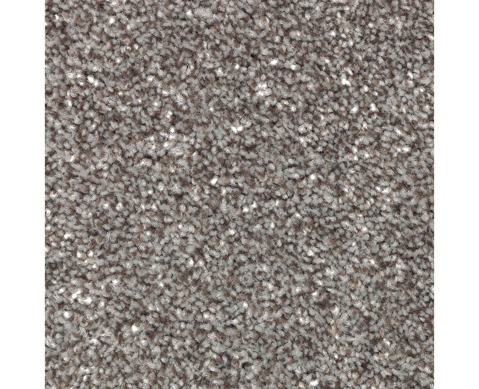 Mohawk True Unity in Tradewind, Carpet product detail