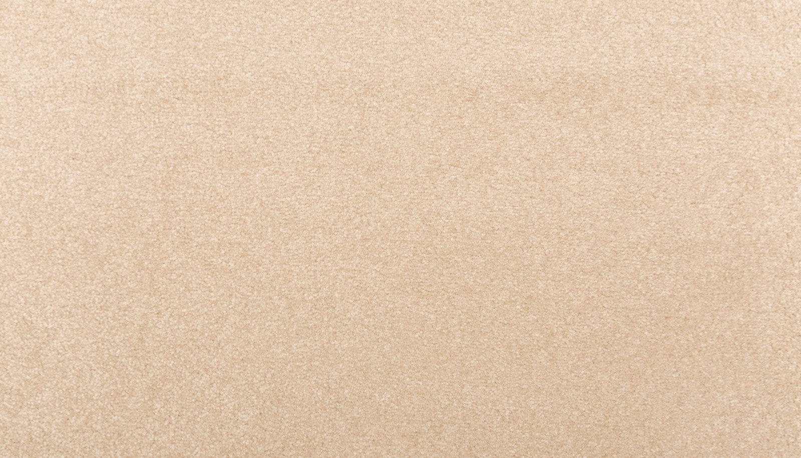Mohawk Homefront I in Honeywood, Carpet product detail