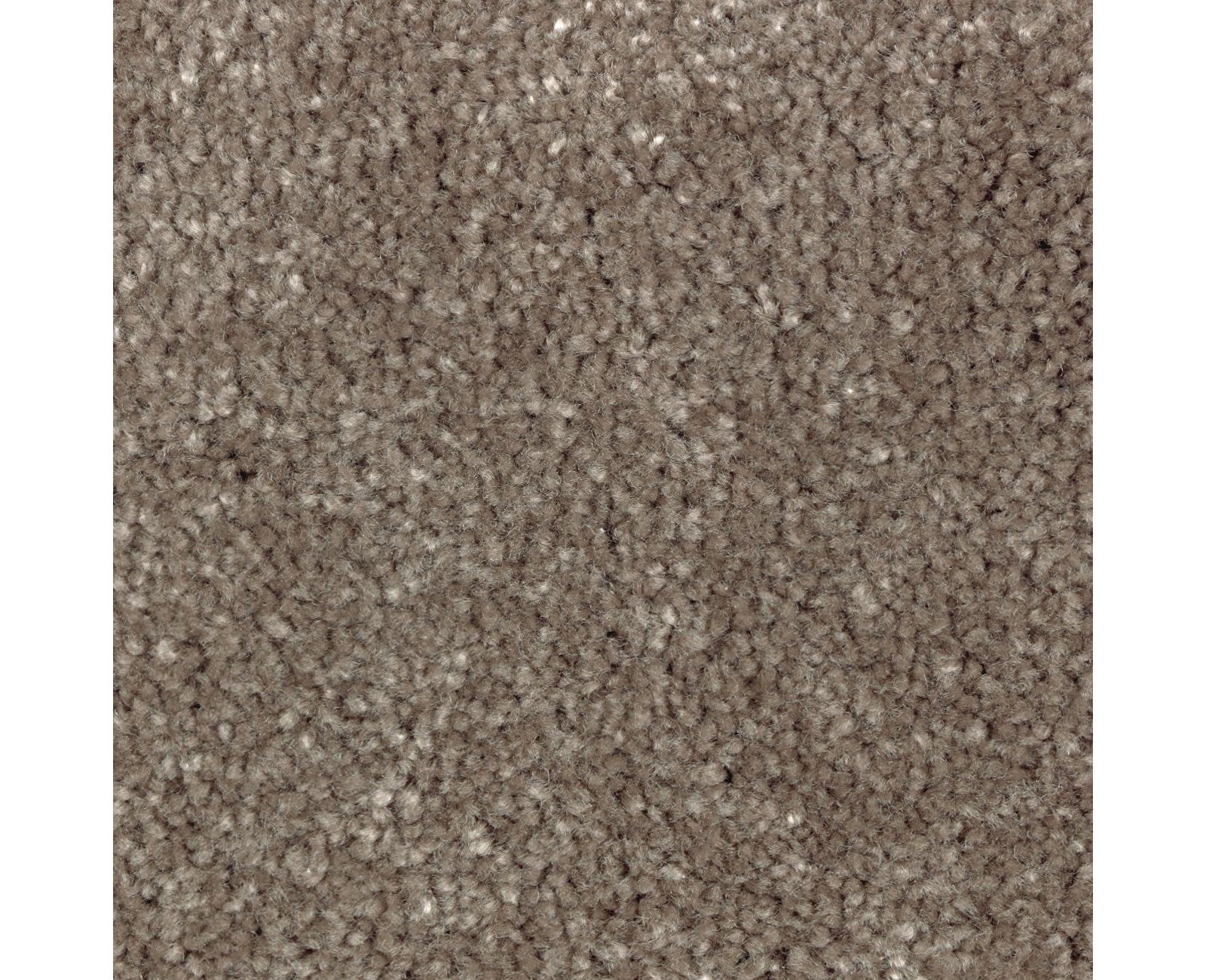 Mohawk Classical Design I in Coco Mocha, Carpet product detail