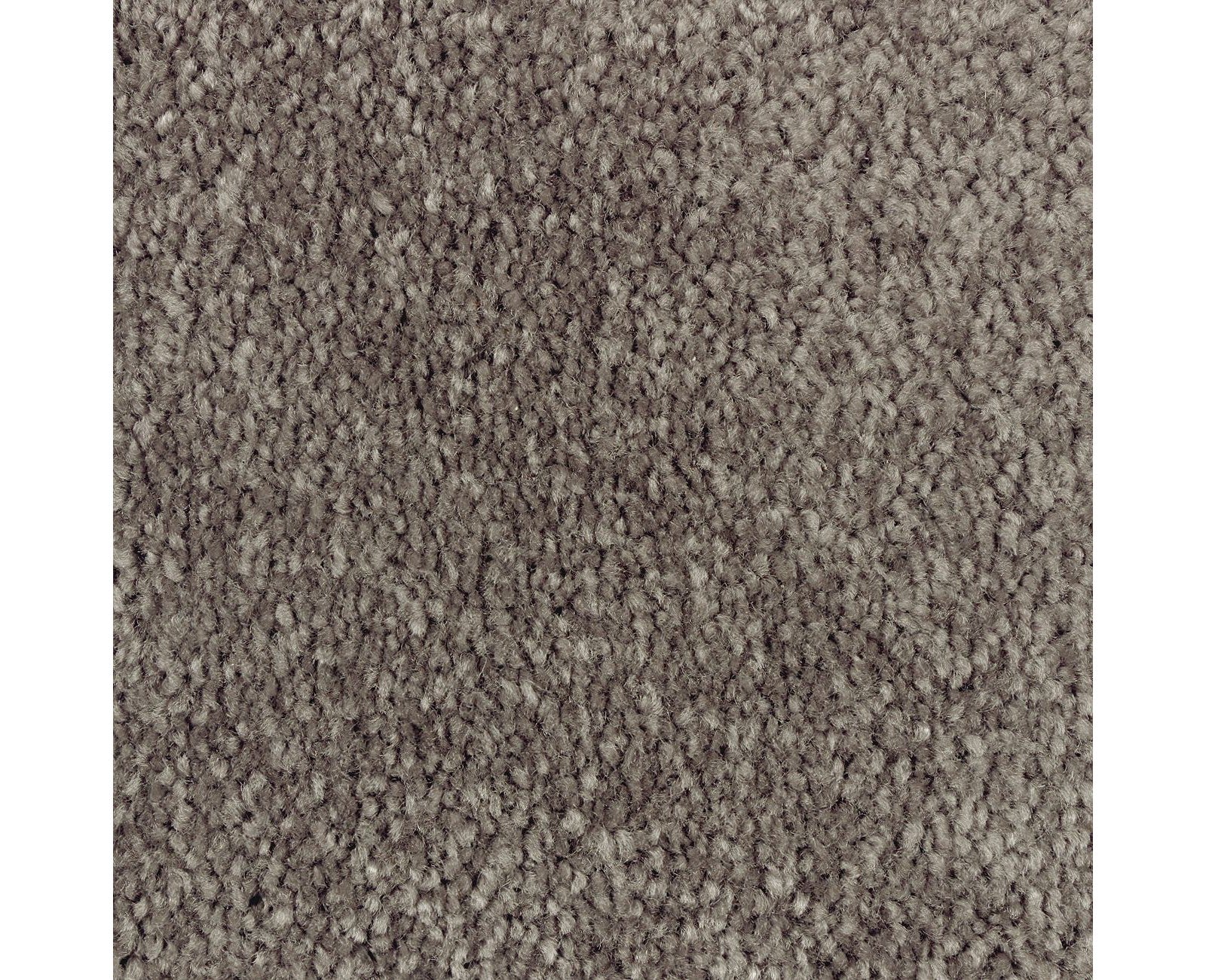 Mohawk Homefront I in Night Phantom, Carpet product detail