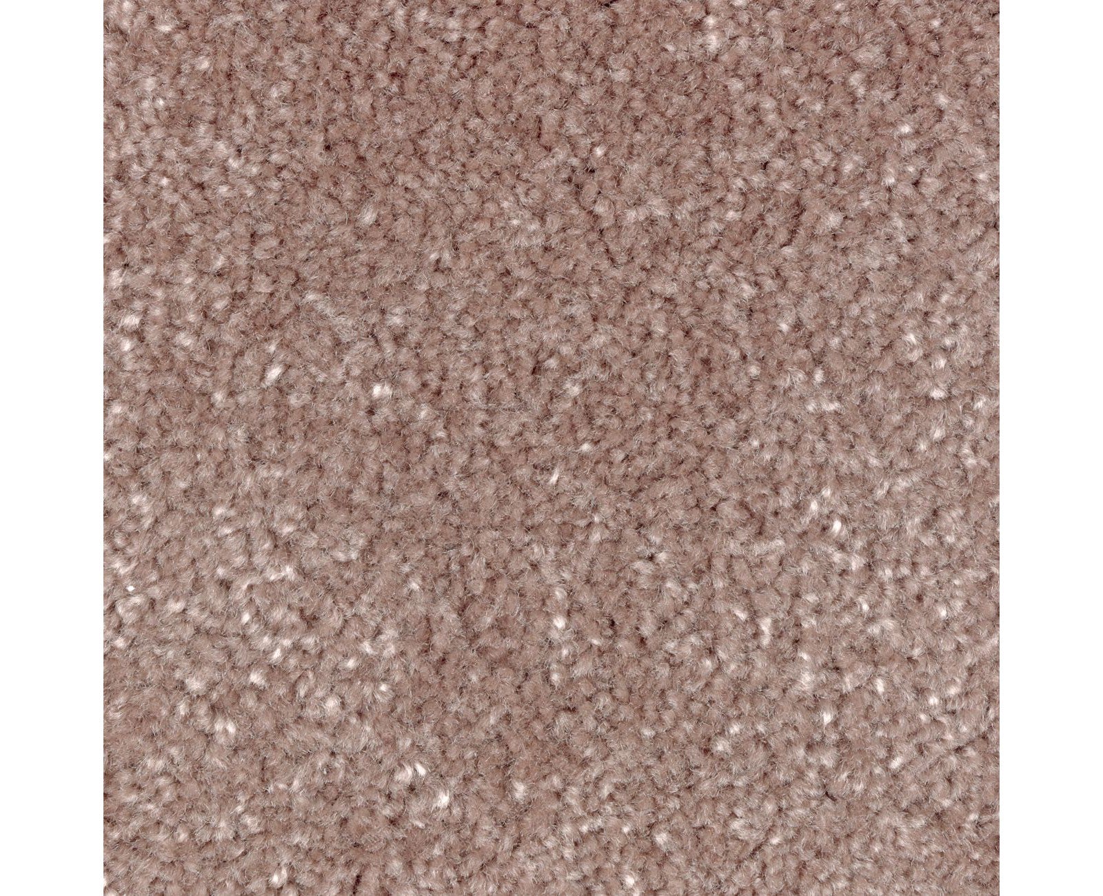 Mohawk Homefront II in Cactus Rose, Carpet product detail