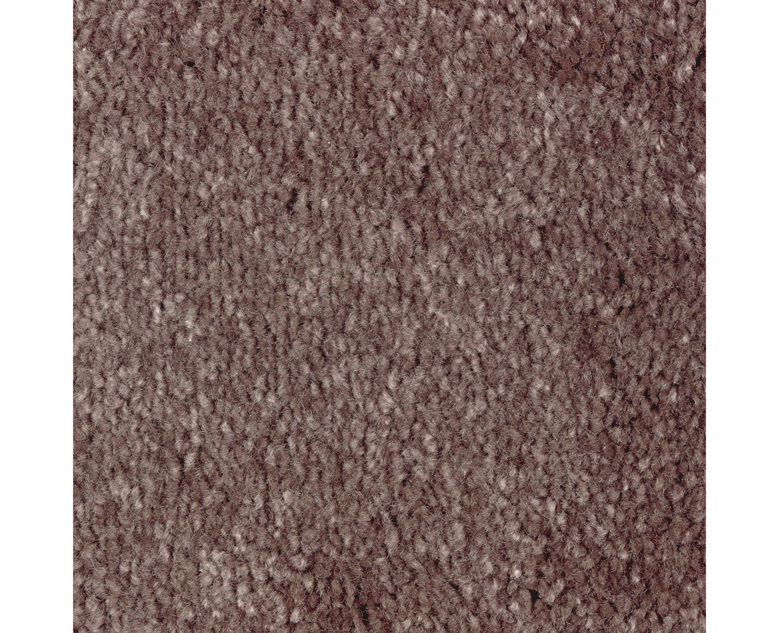 Mohawk Homefront II in Flora, Carpet product detail