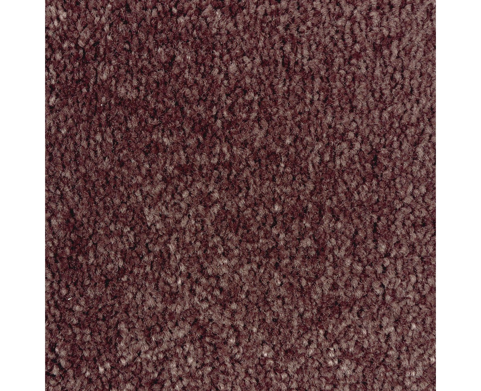 Mohawk Homefront II in Mademoiselle, Carpet product detail