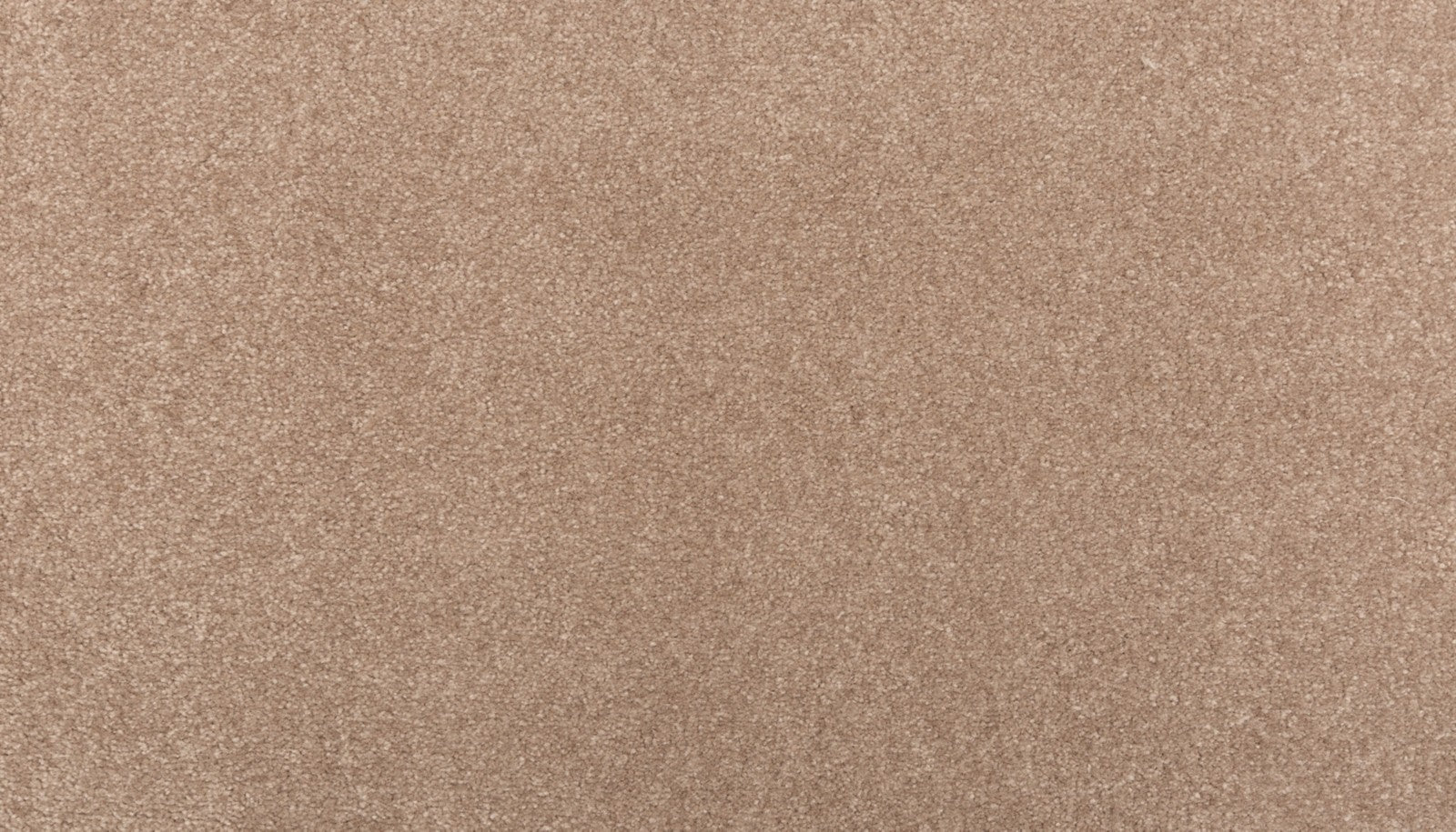Mohawk Homemade II in Cattail, Carpet product detail