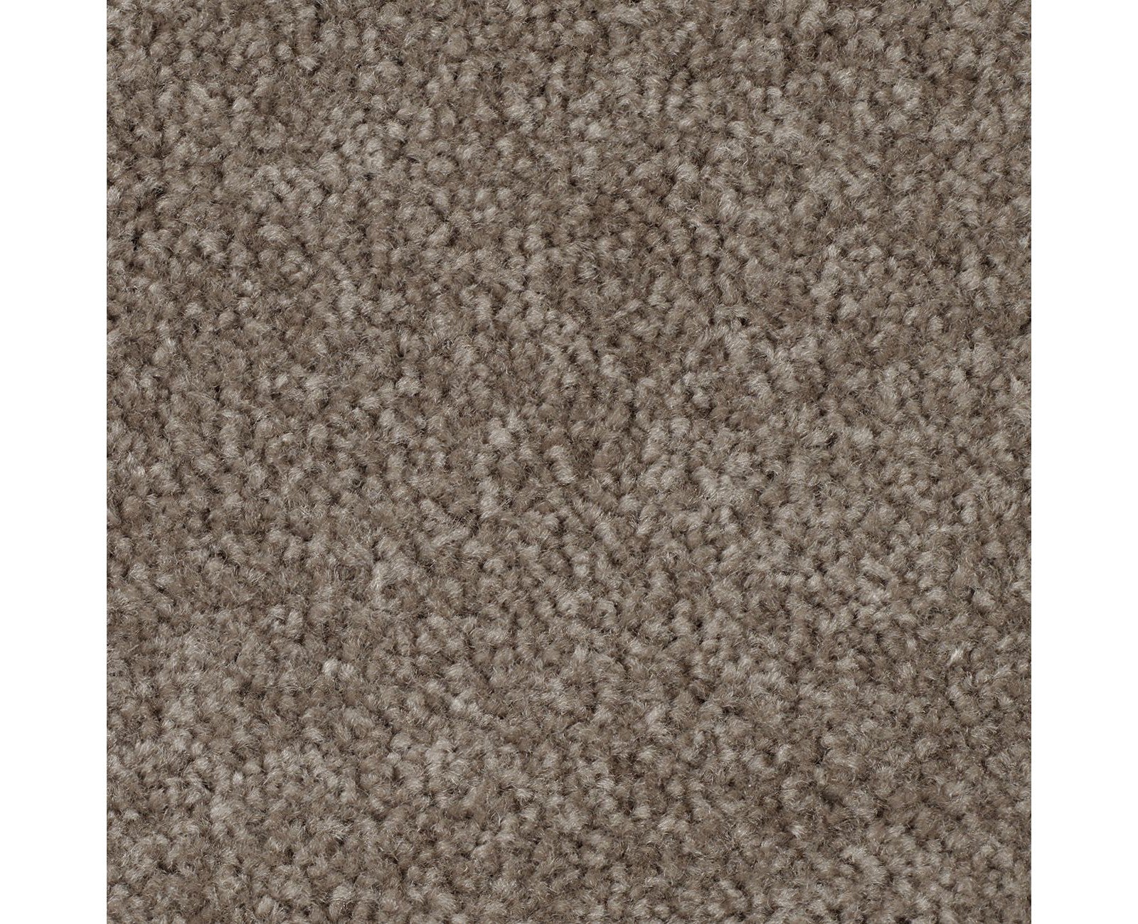 Mohawk Classical Design II in Pecan Bark, Carpet product detail