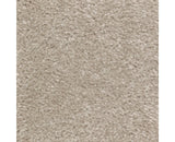Mohawk Homefront III Carpet