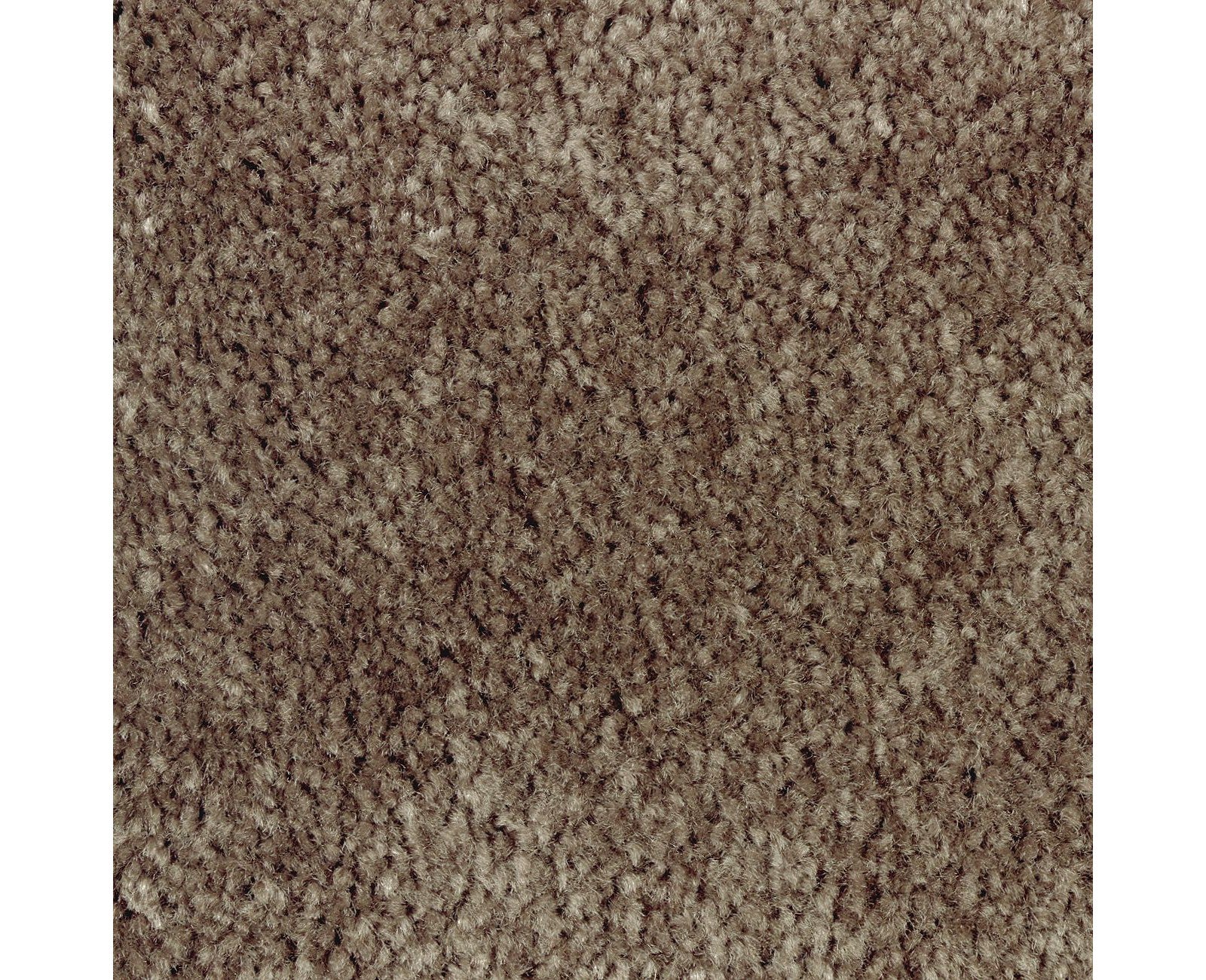 Mohawk Classical Design III in Rustic Beam, Carpet product detail