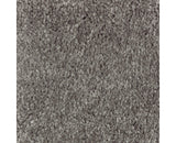 Mohawk Homefront III Carpet