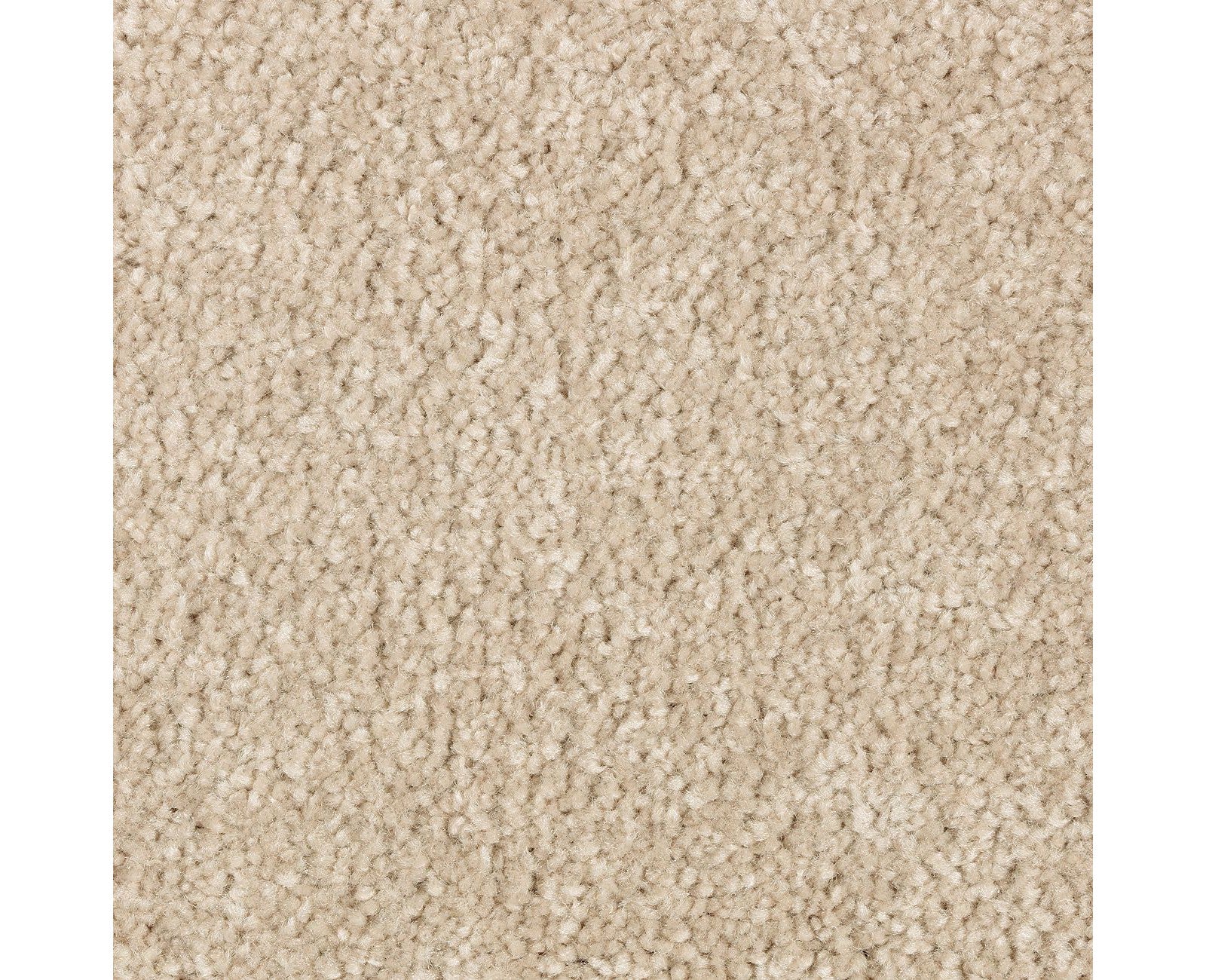 Mohawk Elegant Appeal I in Ancient Scroll, Carpet product detail