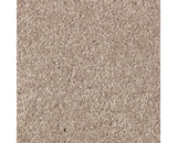 Mohawk Elegant Appeal I Carpet