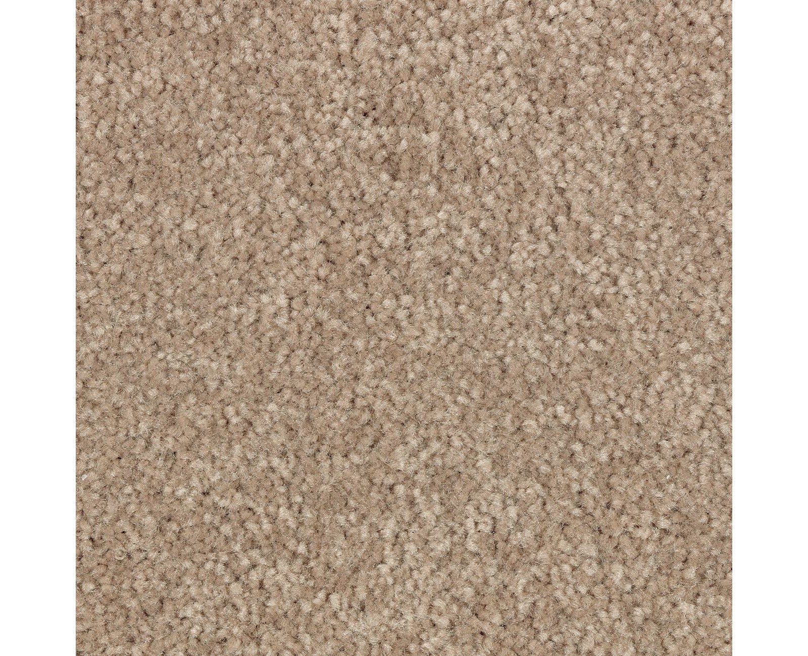 Mohawk Elegant Appeal III in Dash O'spice, Carpet product detail