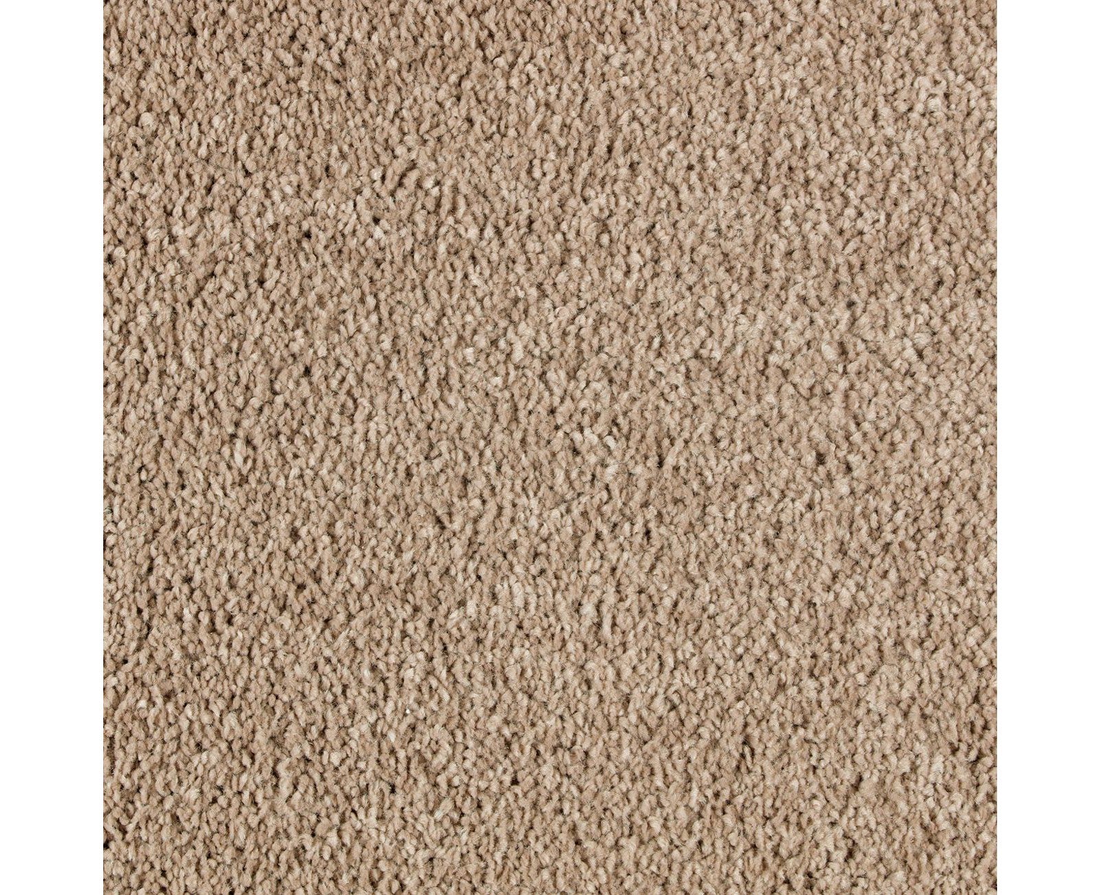 Mohawk Exquisite Beauty in Timeless, Carpet product detail