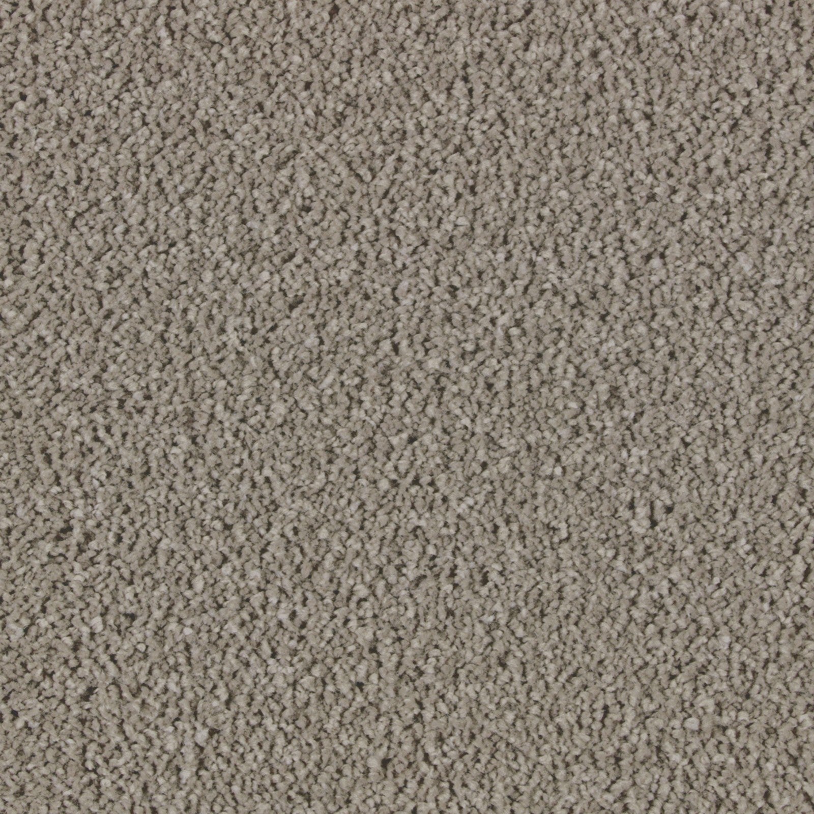 Mohawk Exquisite Attraction in Naturale, Carpet product detail
