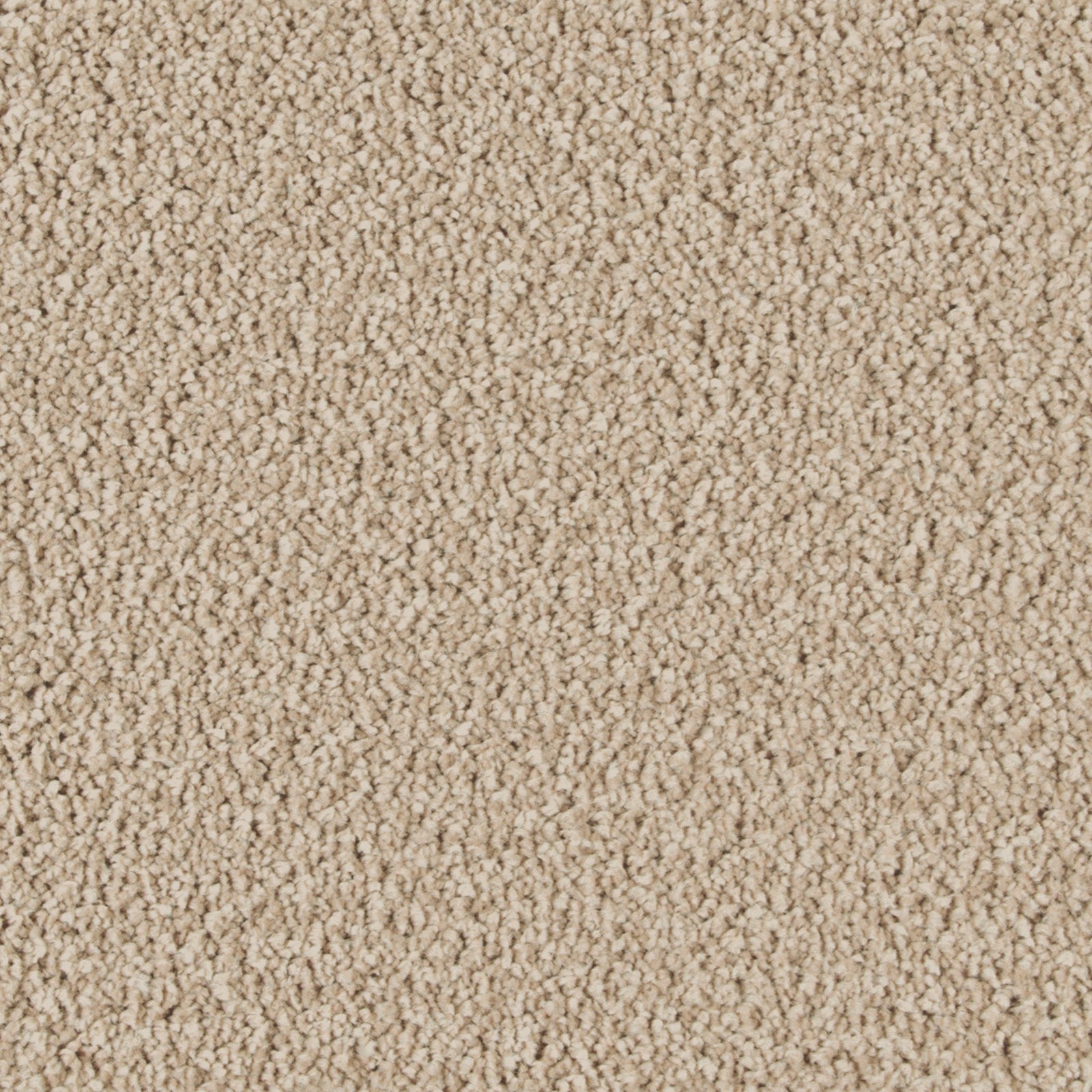 Mohawk Exquisite Attraction in Victorian Beige, Carpet product detail