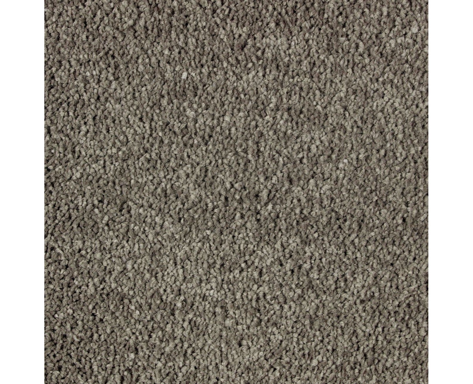 Mohawk Exquisite Attraction in Garden Bramble, Carpet product detail