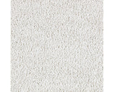 Mohawk Exquisite Attraction Carpet