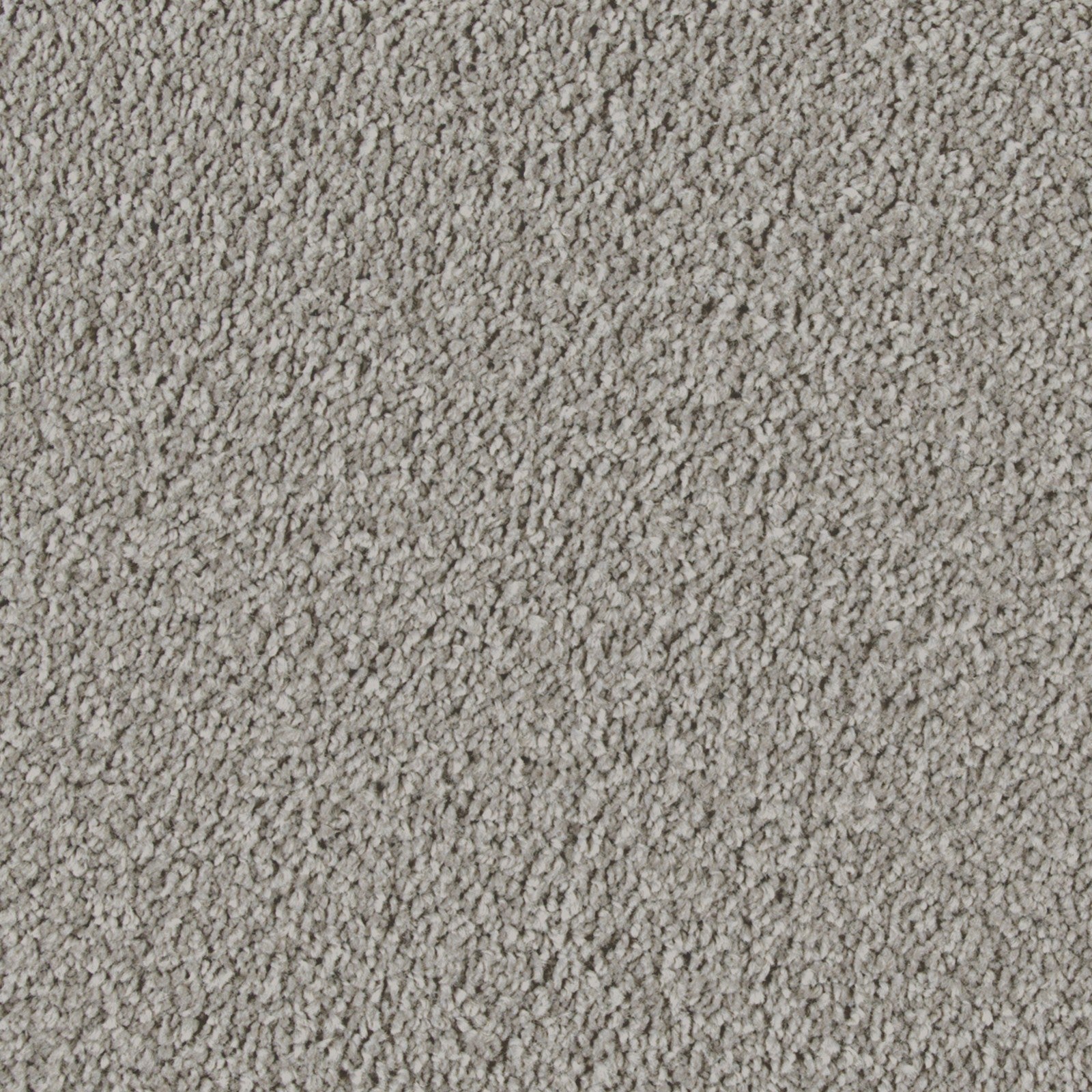 Mohawk Exquisite Attraction in Classical, Carpet product detail