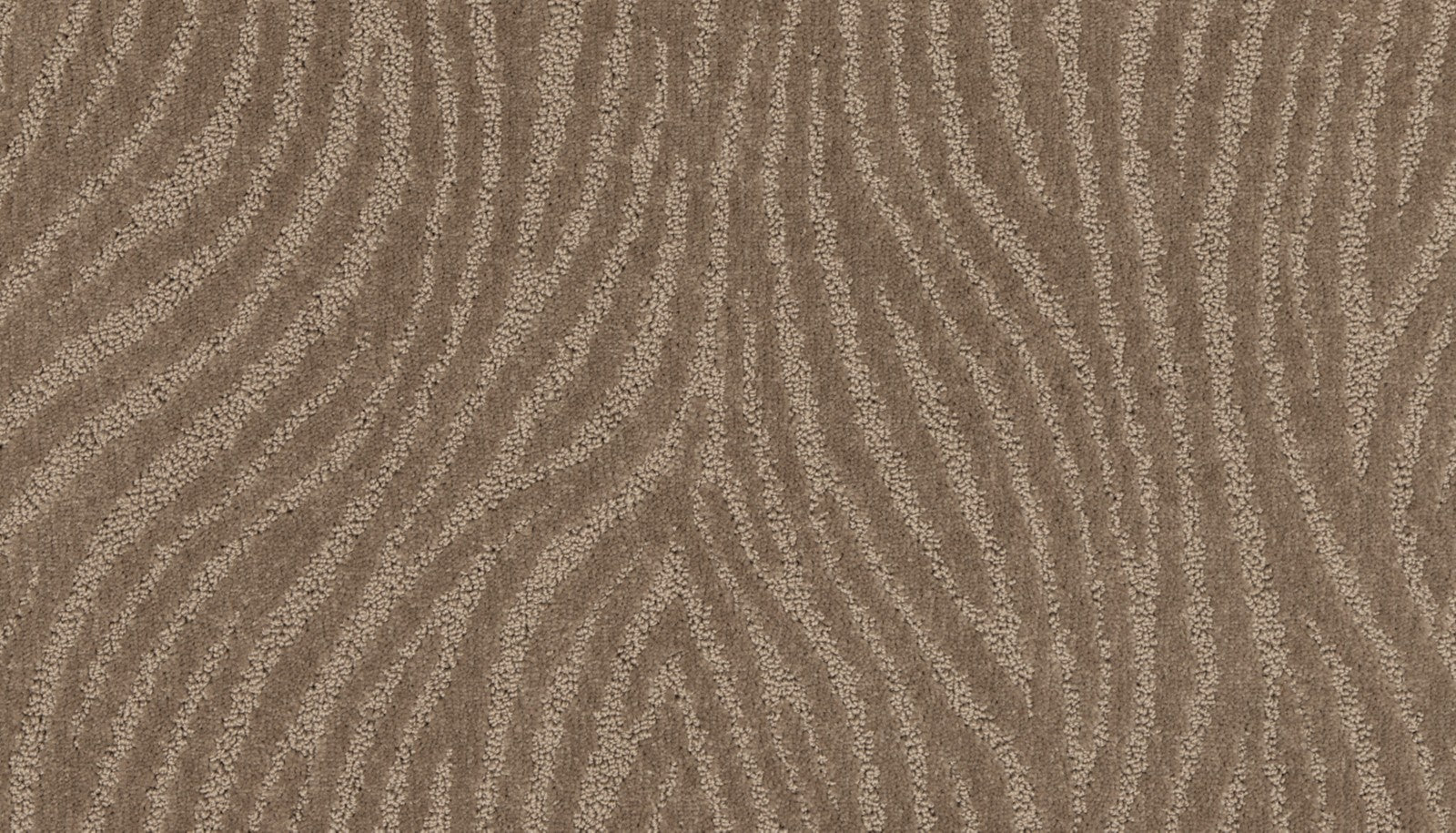Mohawk Distinct Flair in Folkstone, Carpet product detail